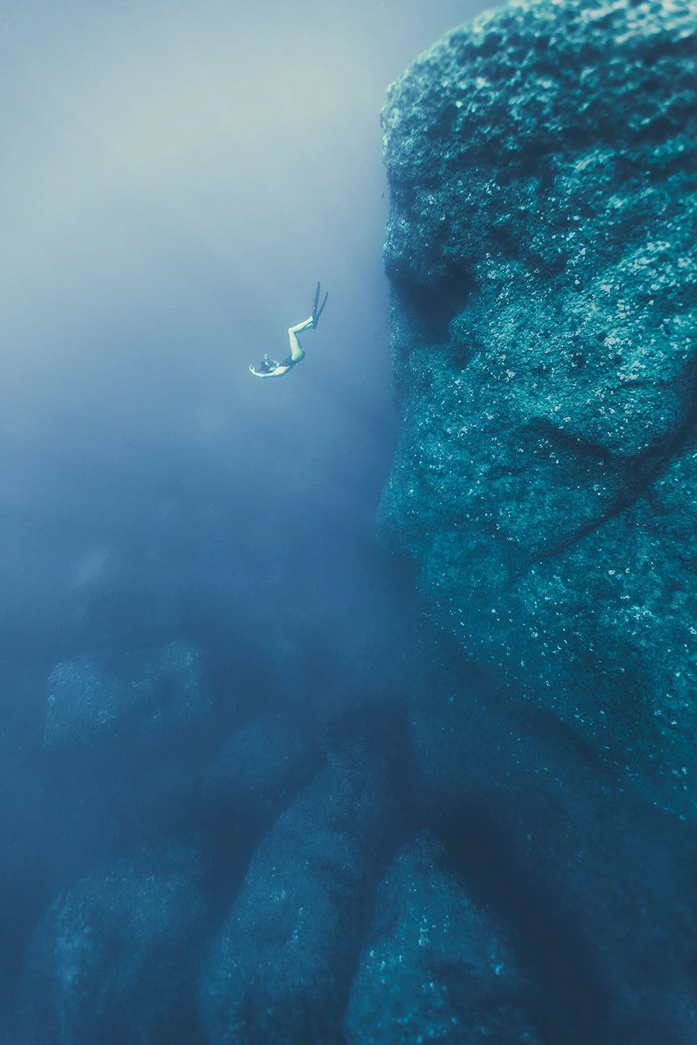 180802-6597-freedive.jpg