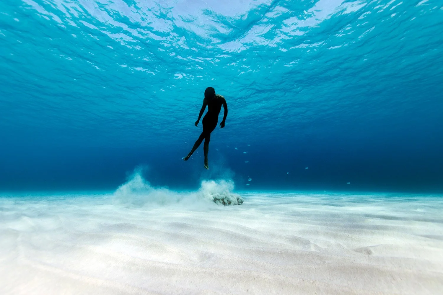 160705-1880-freedive.jpg