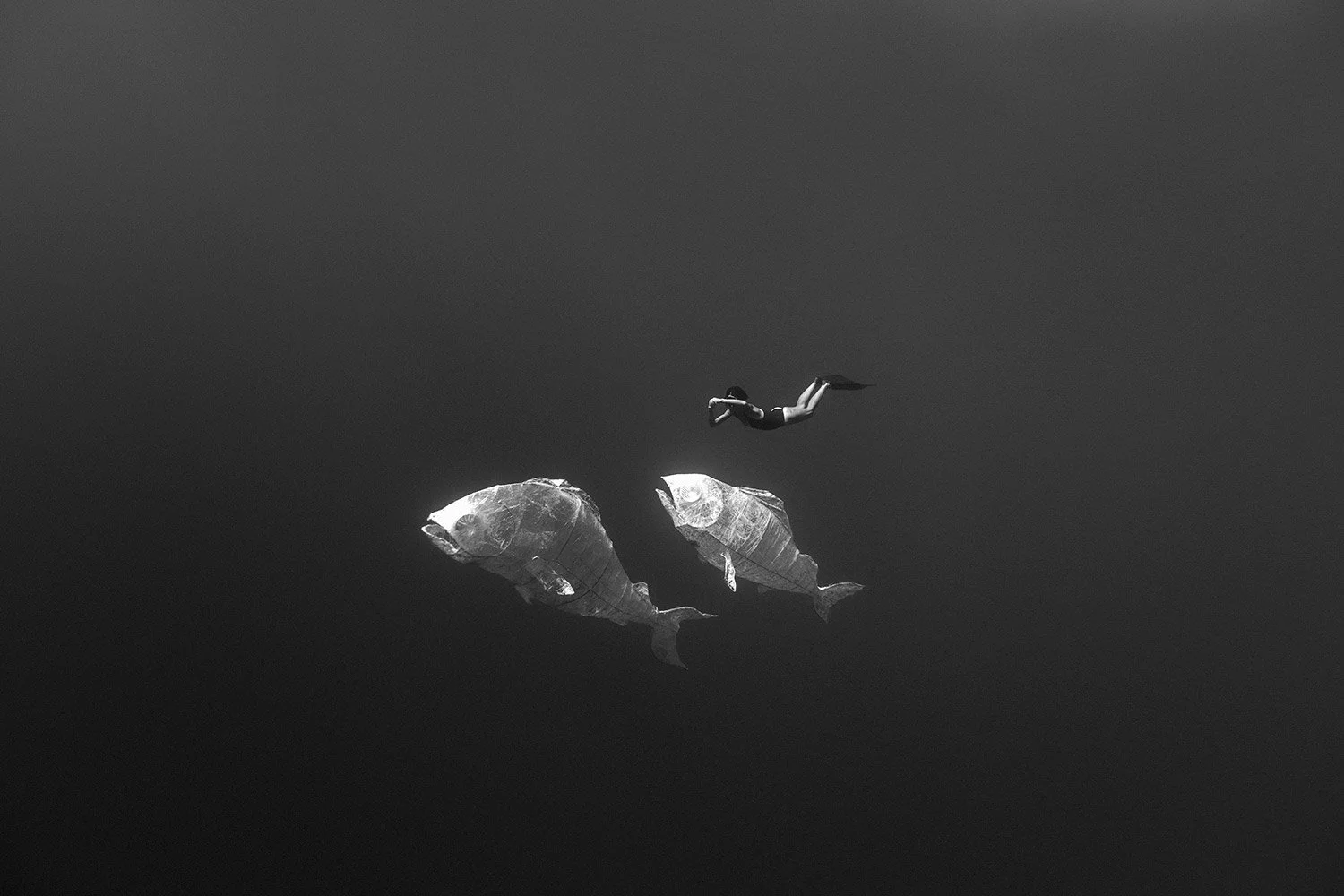 190831-9C1A6872-plastic.jpg