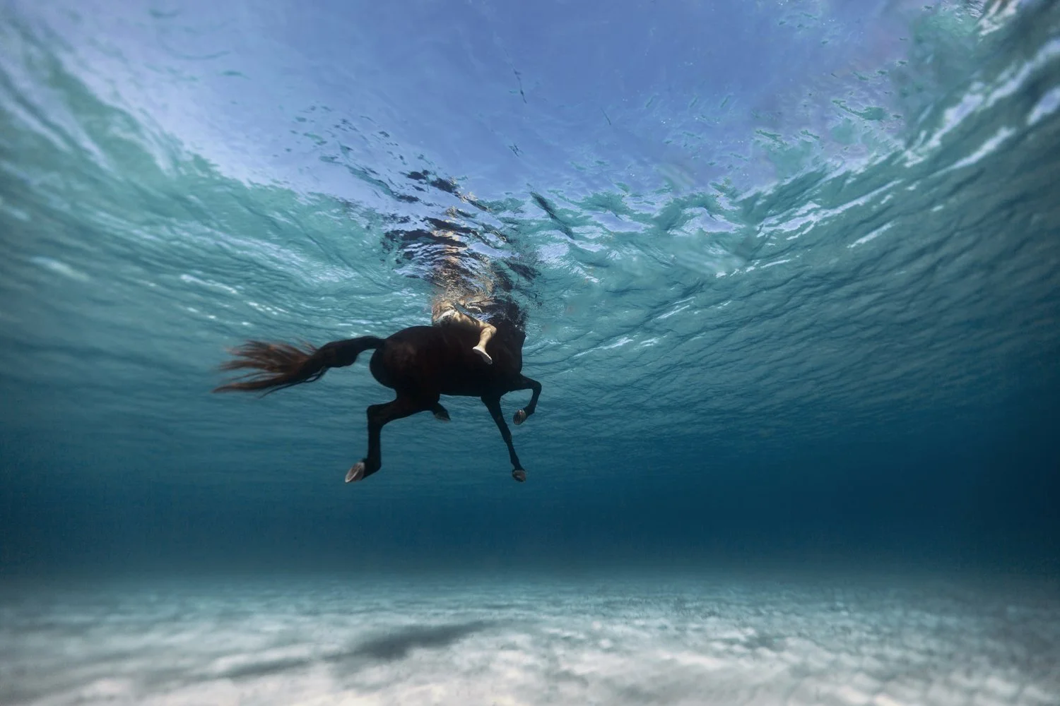 A person swimming underwater in the ocean, viewed from below the surface.