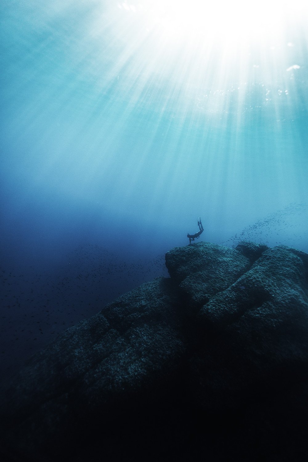 231014-0A0A0081-freedive.jpg