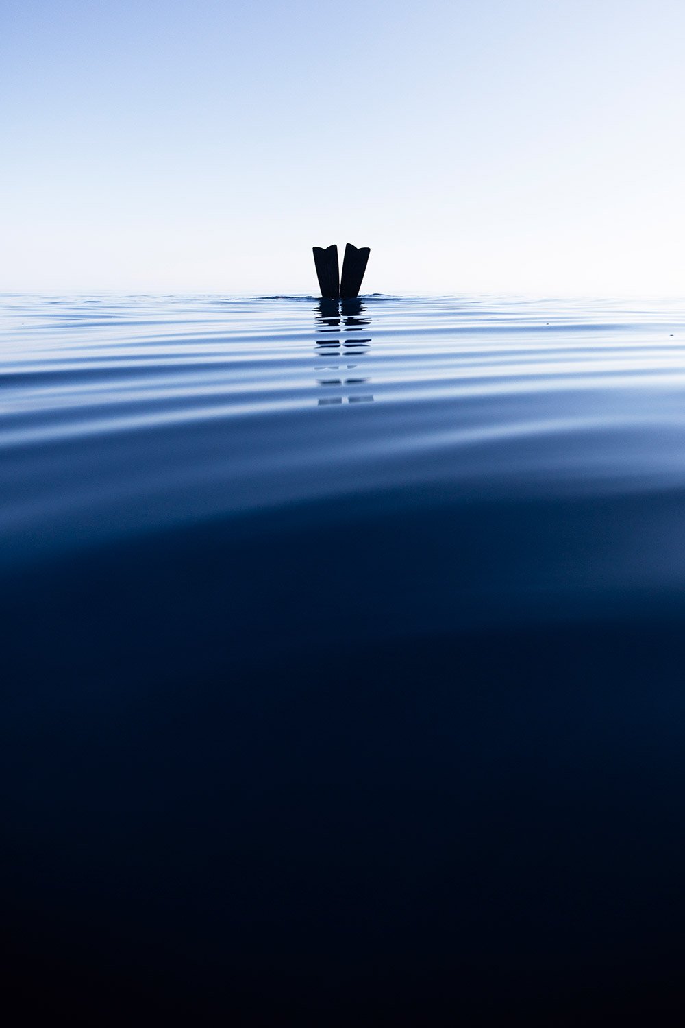 180621-9477-freedive-featured.jpg