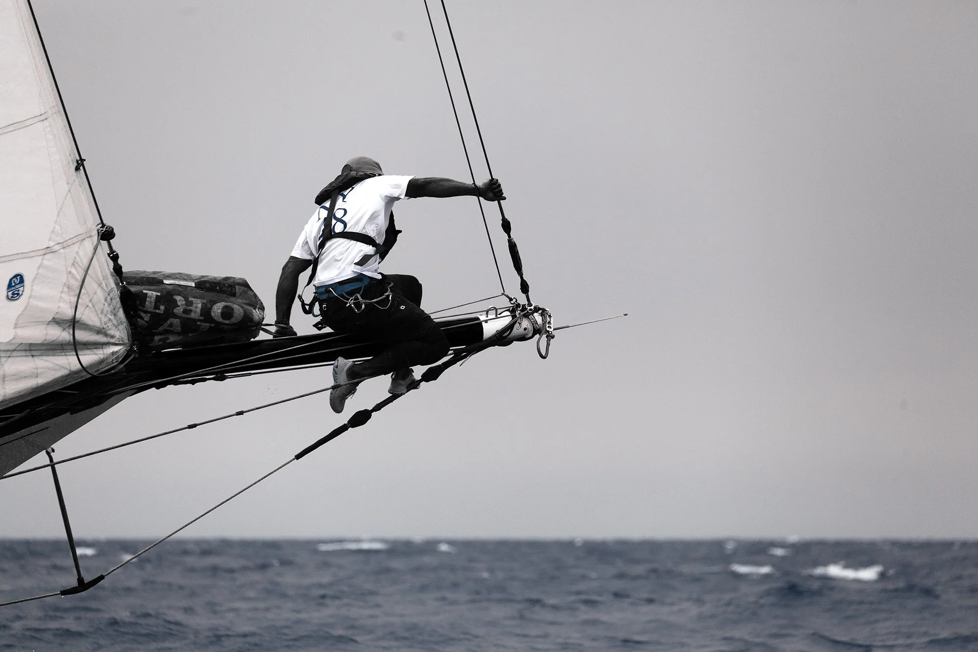 260826-0782-sail.jpg