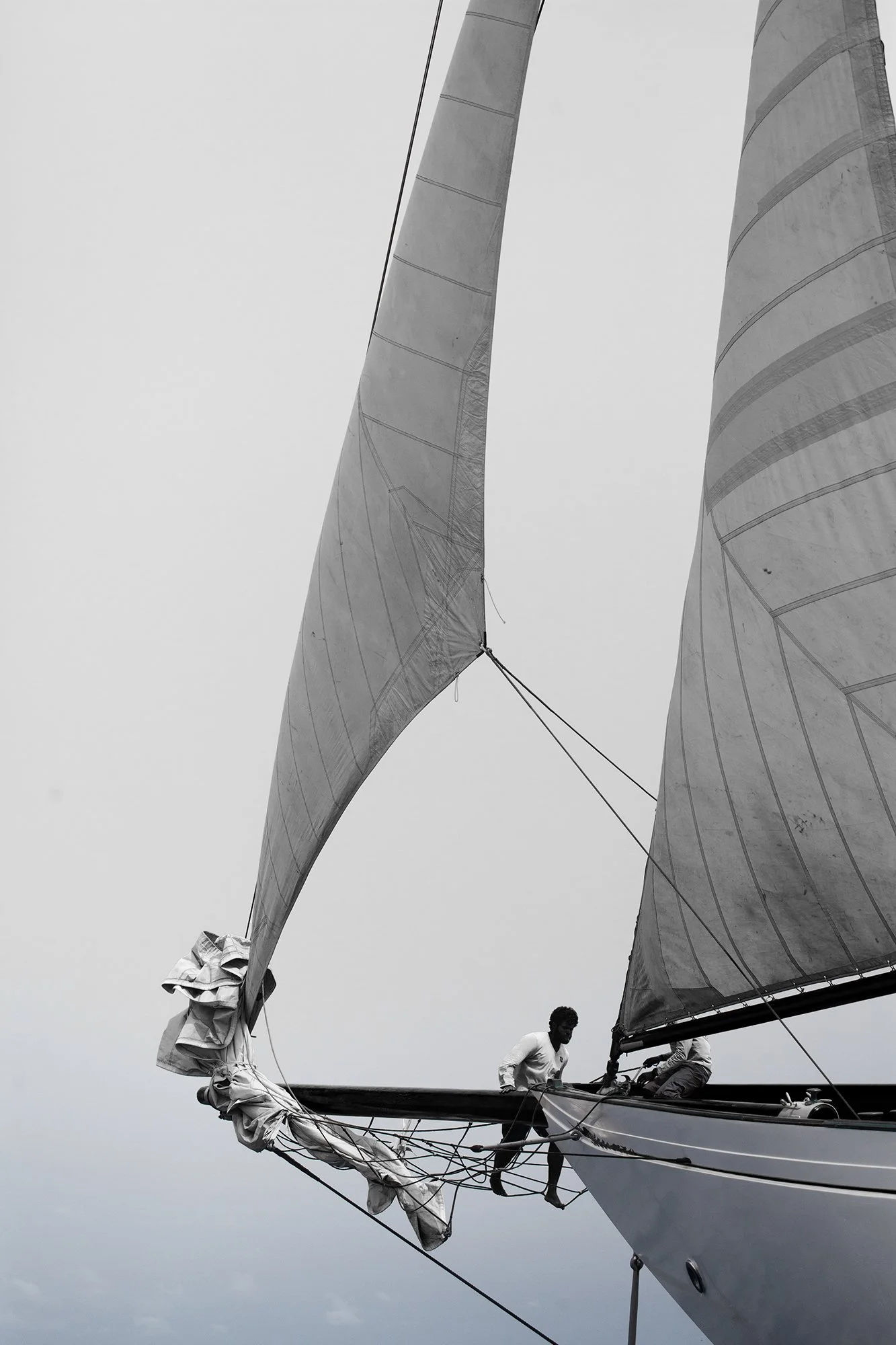 260826-1125-sail.jpg