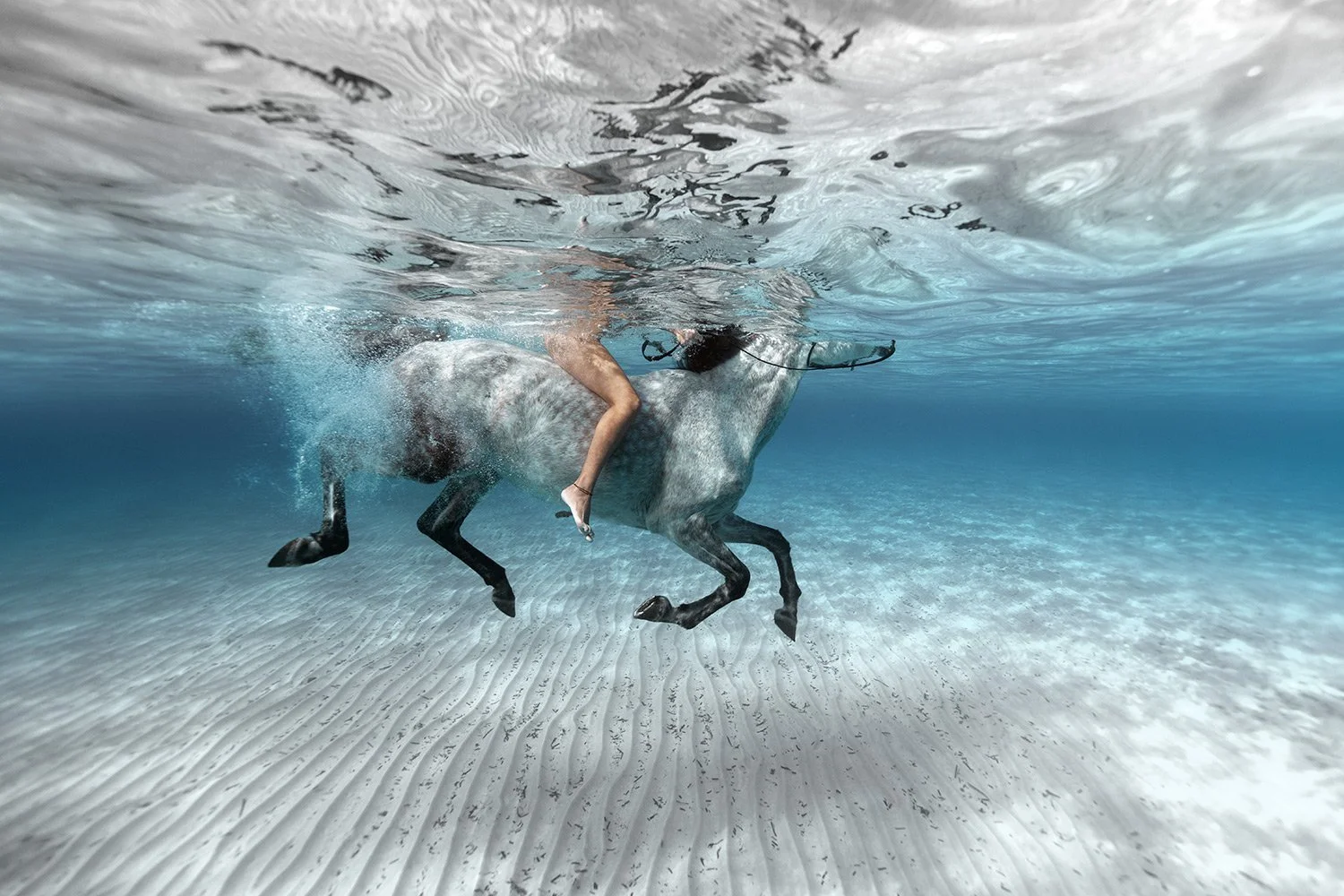 A person riding a horse underwater in a clear, shallow ocean or beach setting.