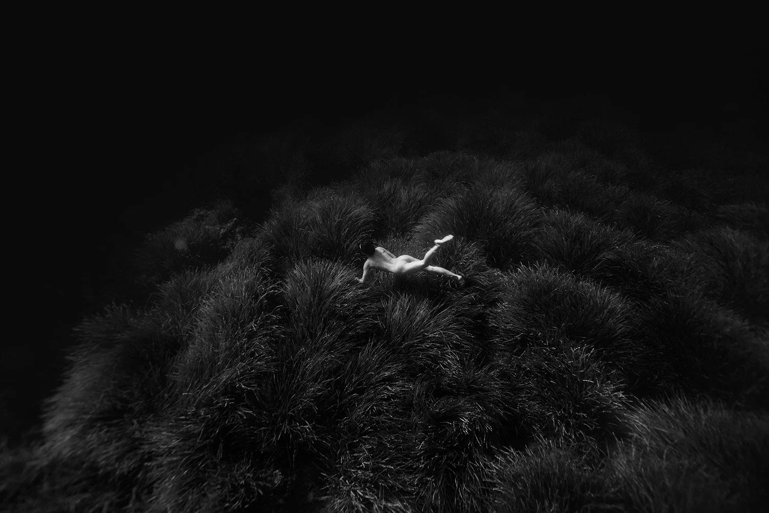 160814-8172-freedive.jpg
