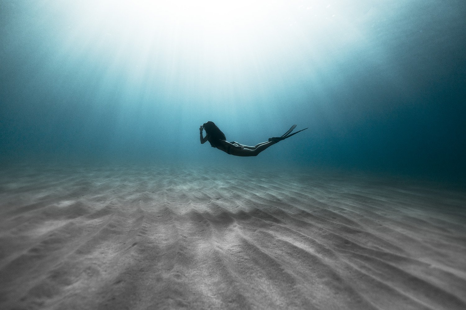 220626-0A0A0882-freedive-featured.jpg