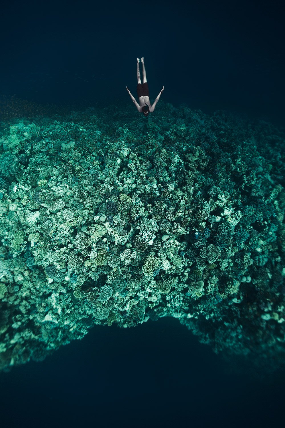 130322-1644-freedive-featured.jpg