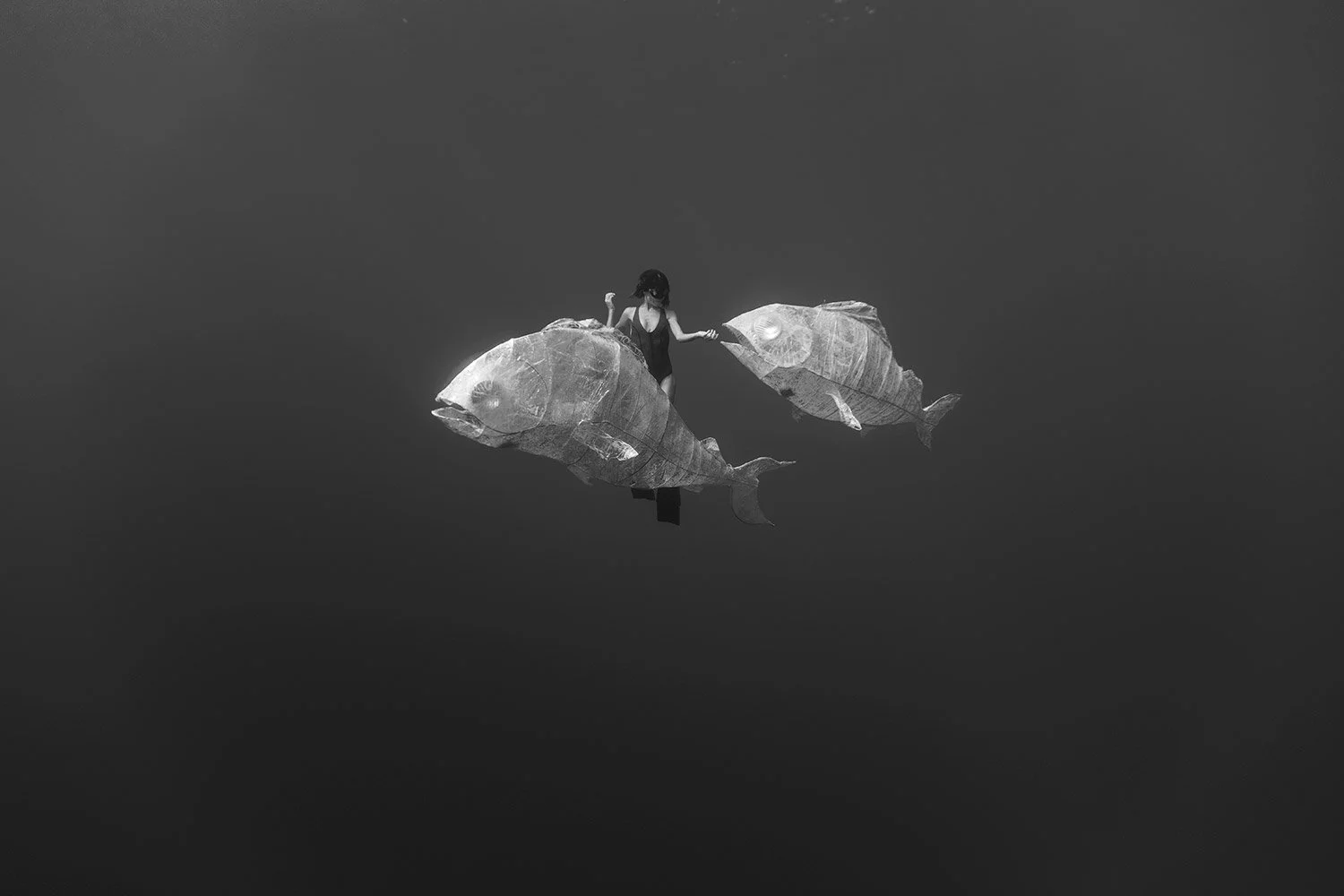 190831-9C1A6999-plastic.jpg