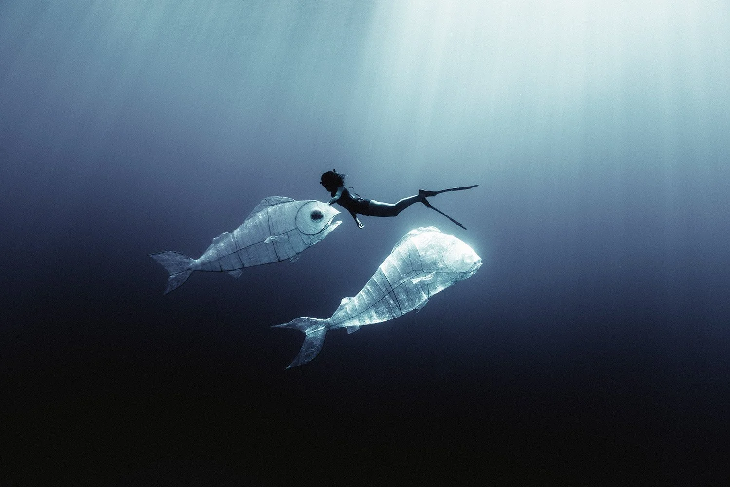 A person in scuba diving gear is swimming underwater with two large fish made of paper or fabric, resembling lanterns or lantern fish, creating an imaginative scene.