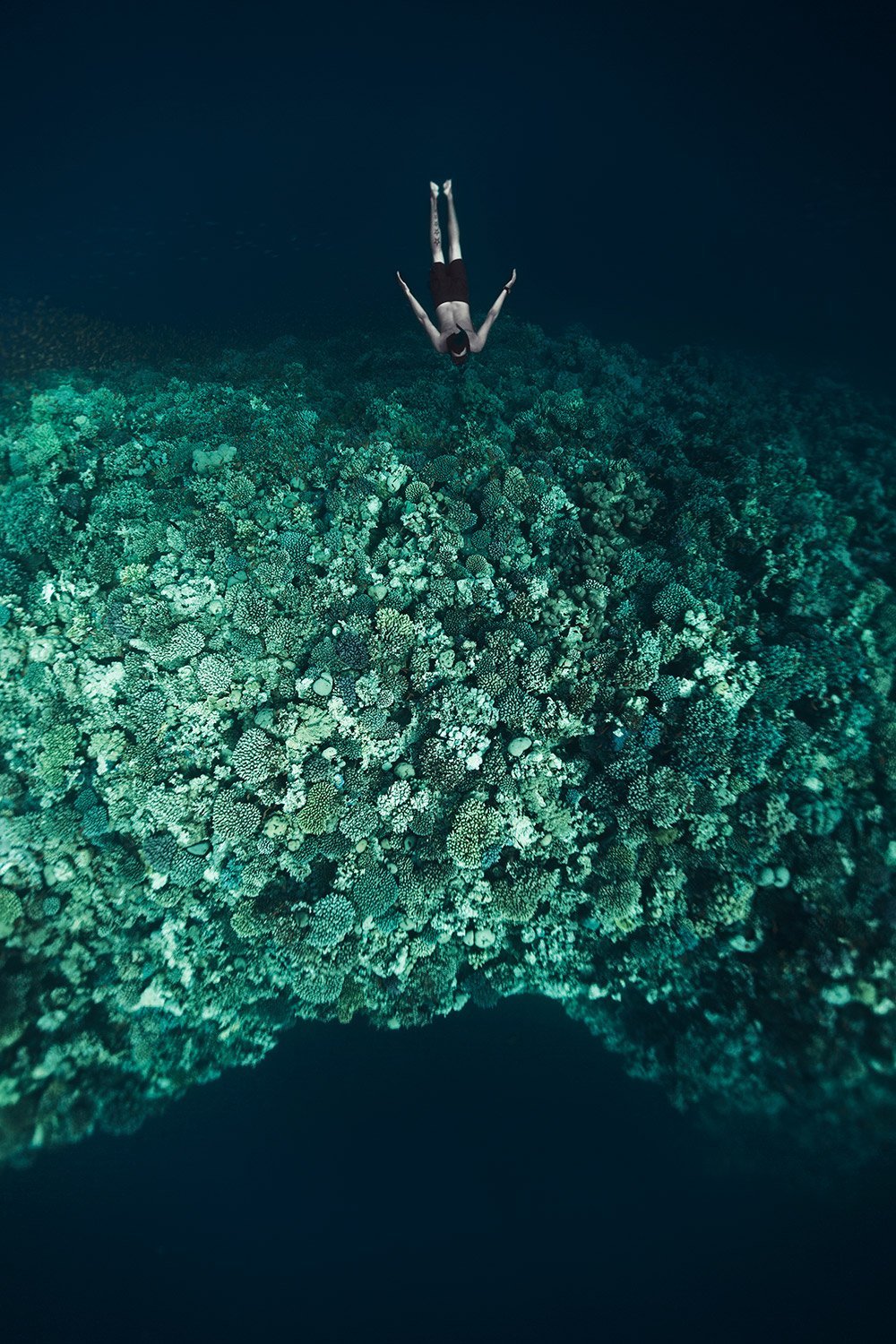A person scuba diving over a coral reef.