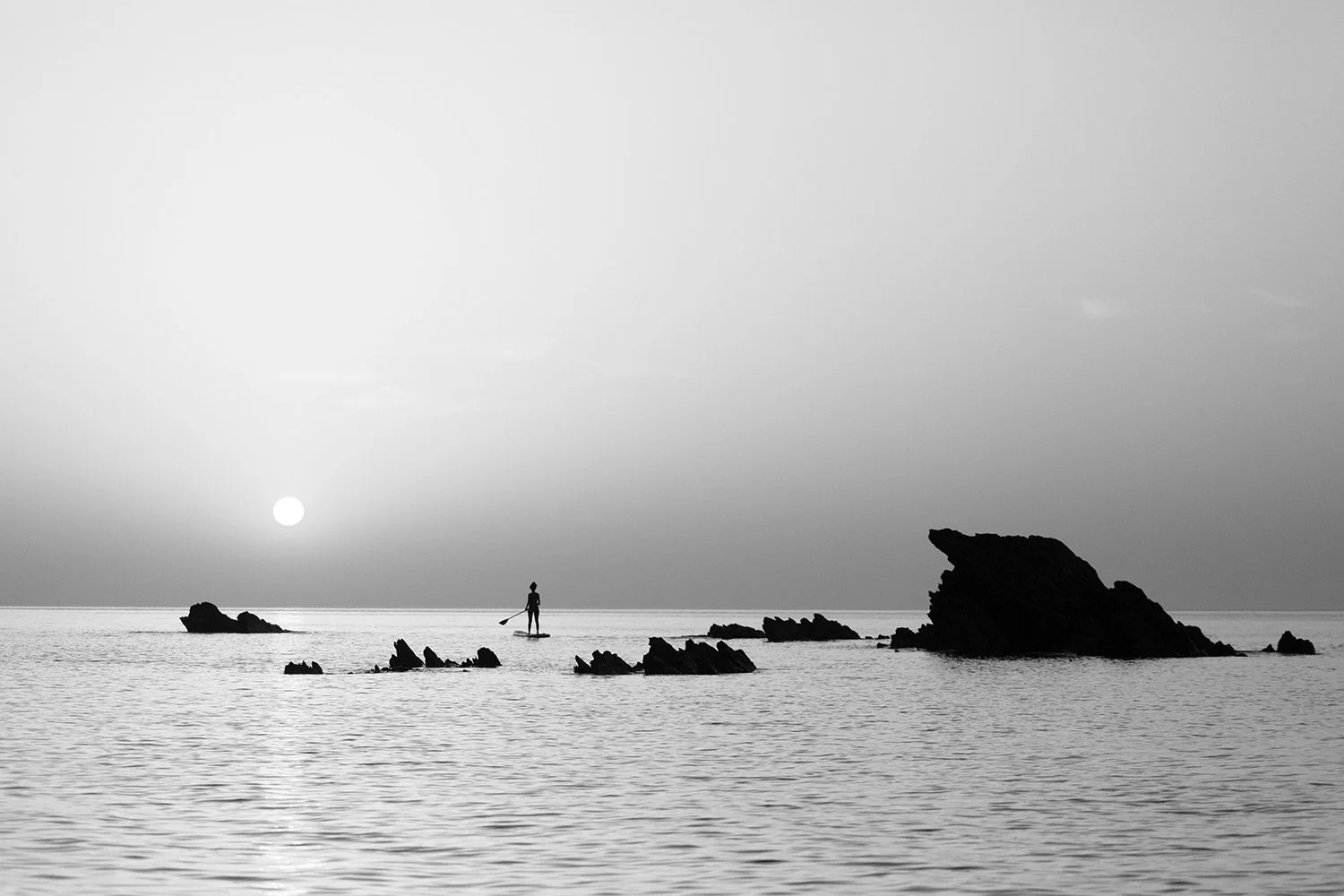 230718-2875-landscape.jpg
