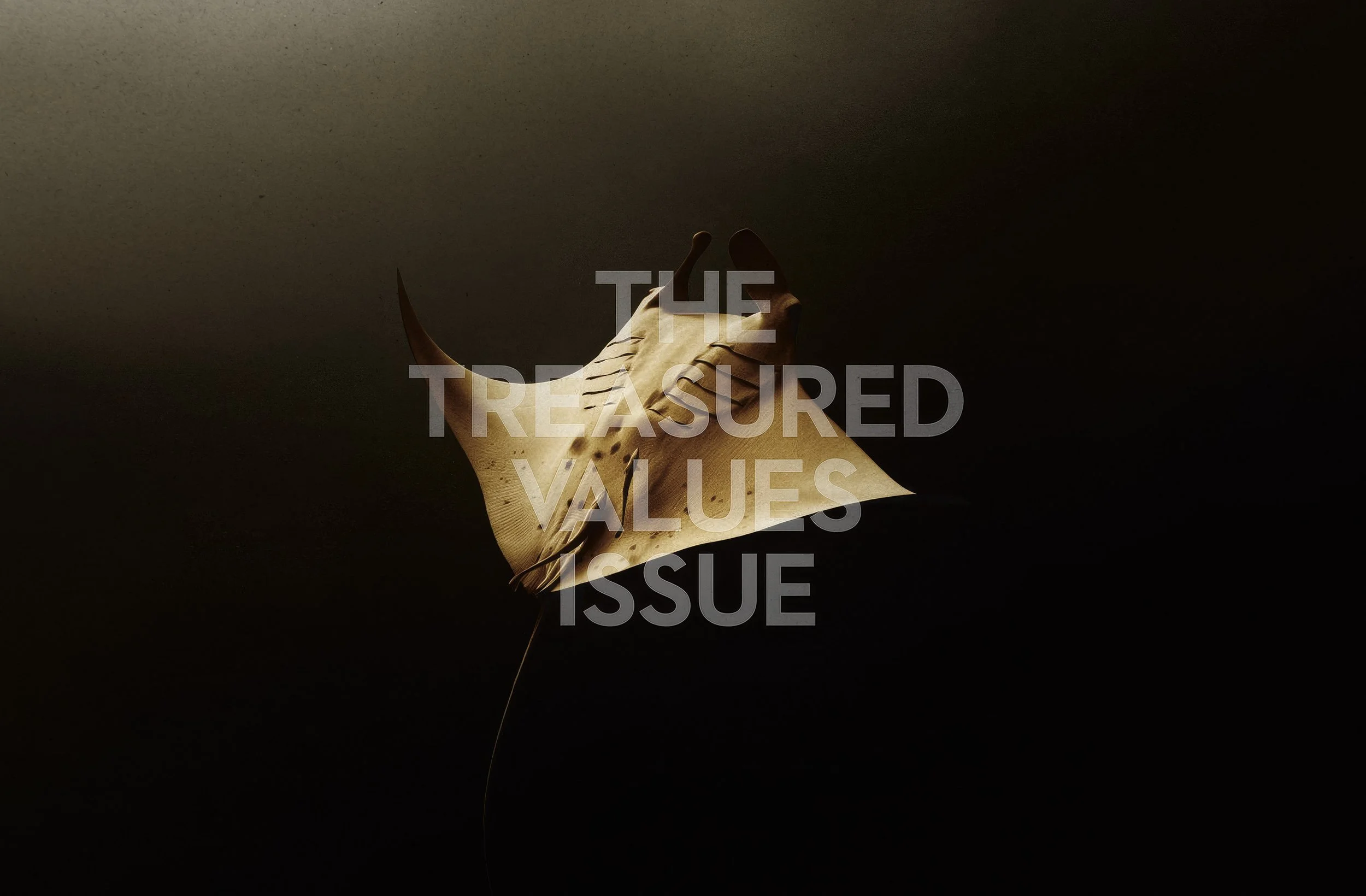 A spotted stingray swimming in dark water with text overlay that reads 'The Treasured Values Issue.'