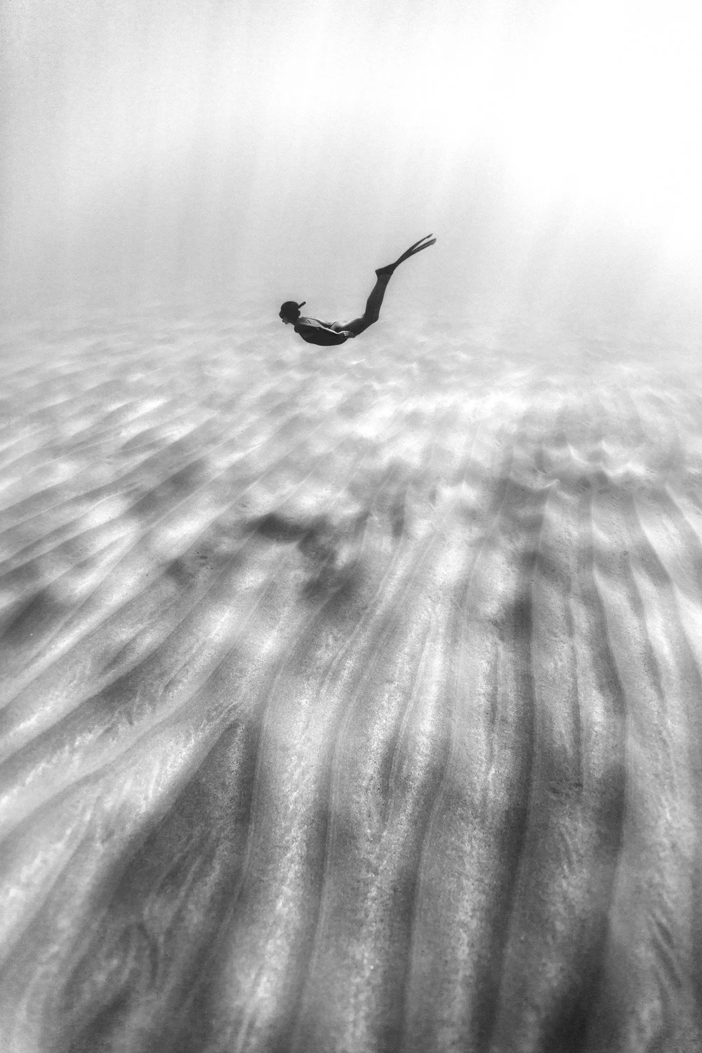 170717-1568-freedive-featured.jpg