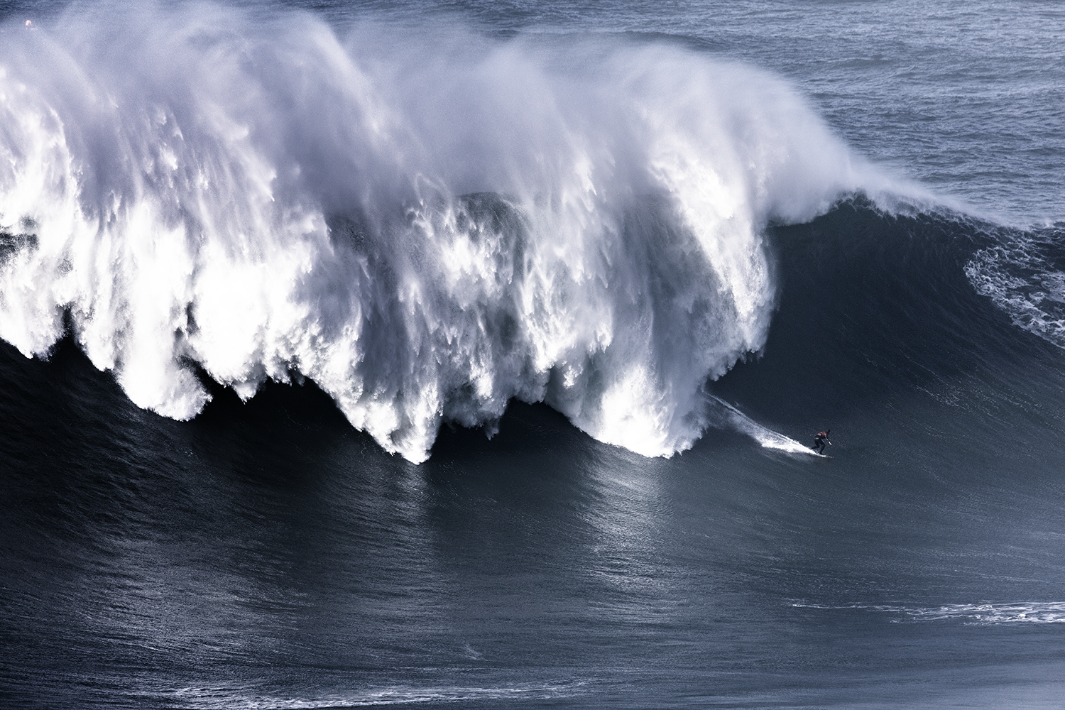 251203-0A0A0273-surf.png