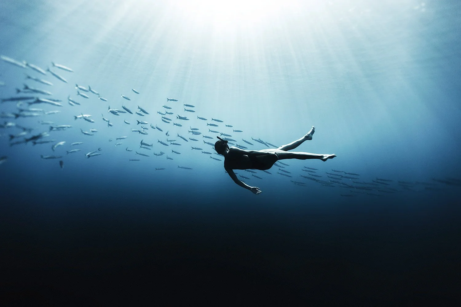180727-4776-freedive.jpg