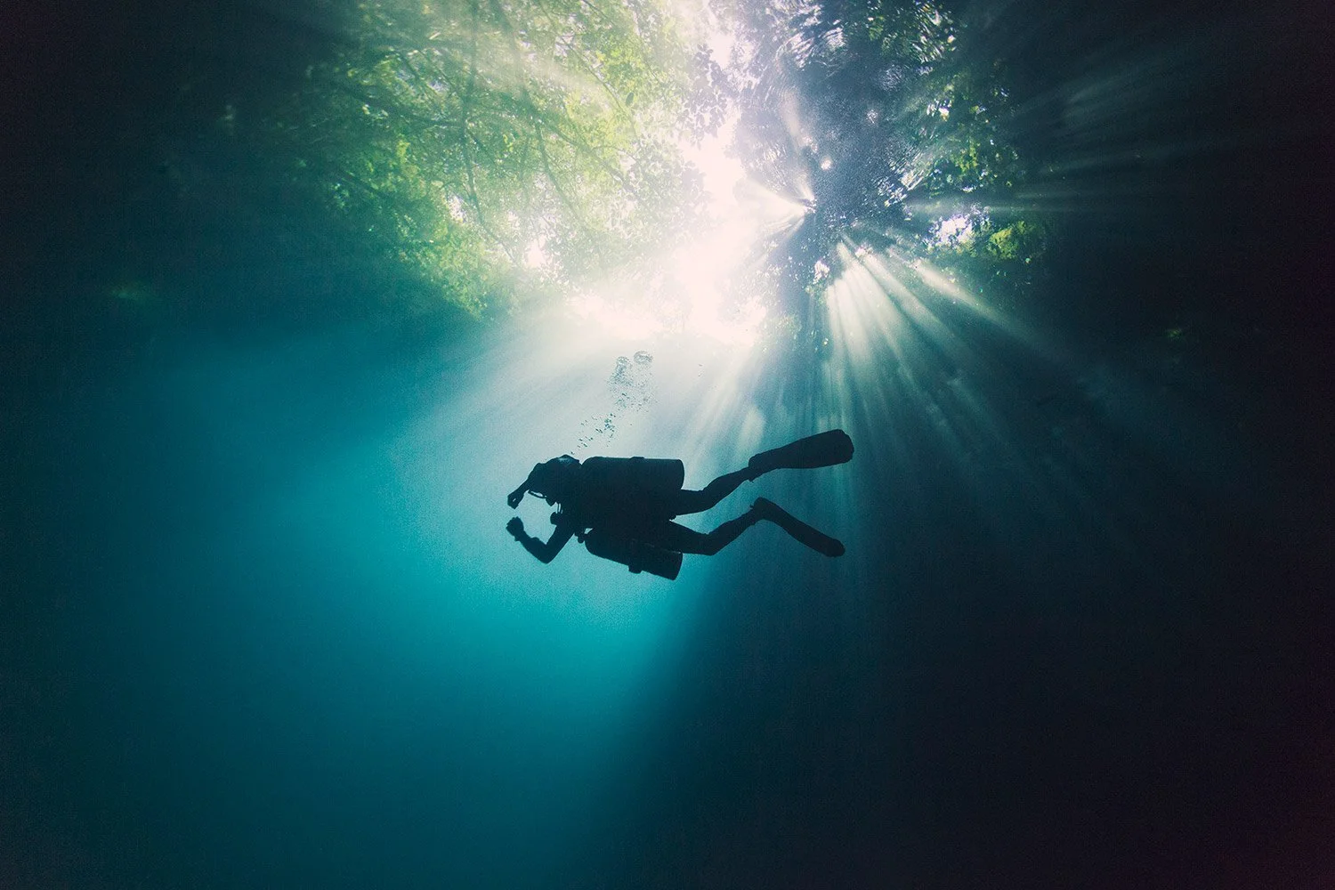A scuba diver swimming underwater near sunlight filtering through the water surface and trees above.