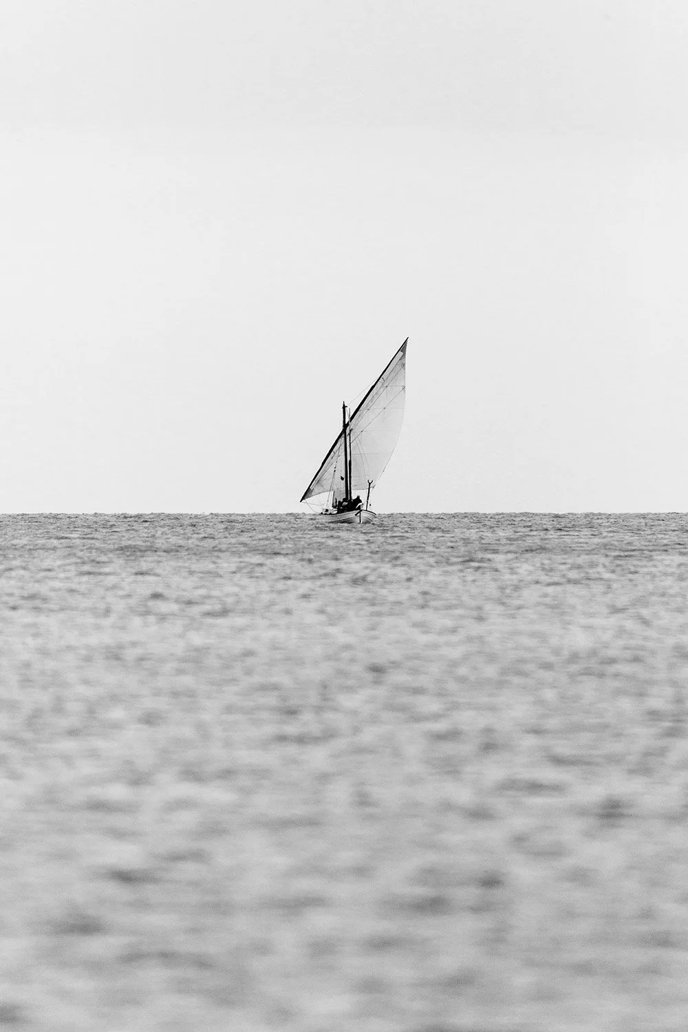 250301-3663-sail.jpg