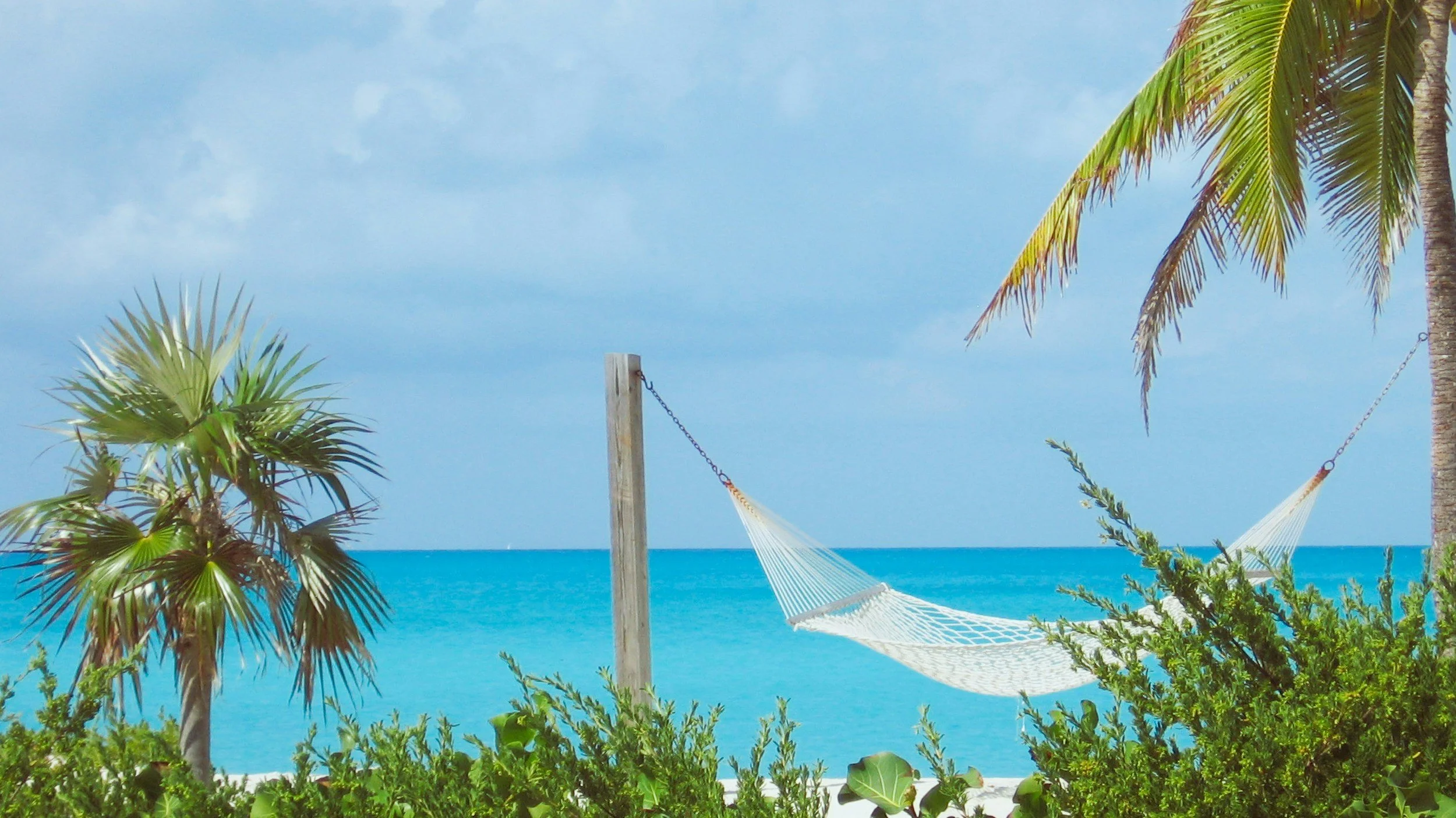 Hammock stretched between two palm trees on a tropical beach with blue ocean and sky in the background.