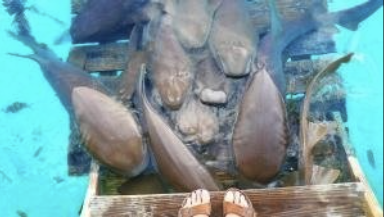 Screenshot 2026-03-16 at 7.17.06 PM.png