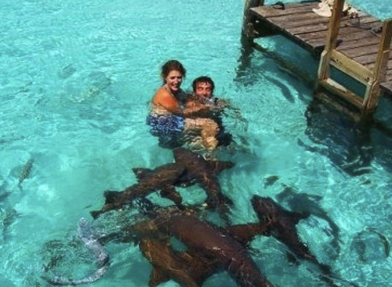 Screenshot 2026-03-16 at 7.15.28 PM.png