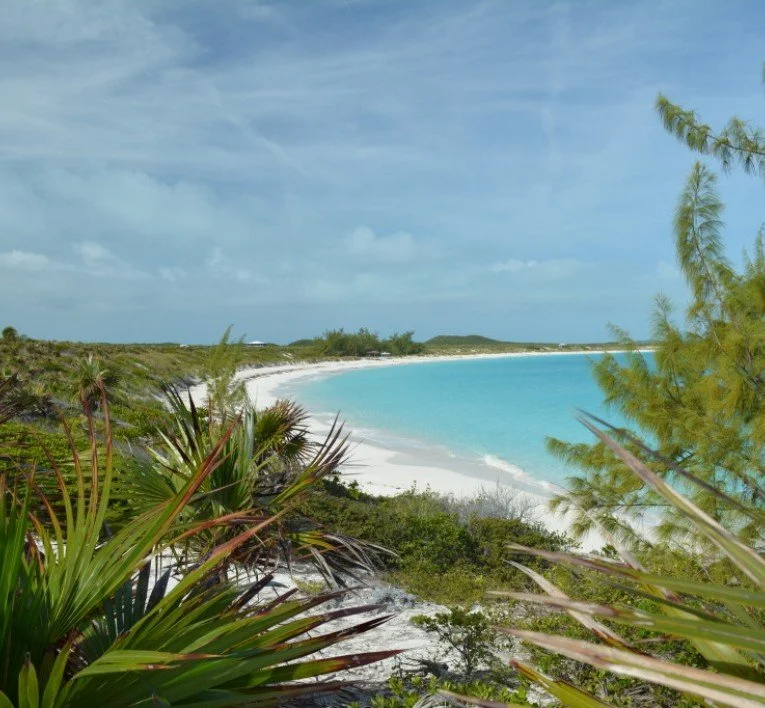 exum_compass_cay_resort_beach-5f4c9726d0a68-765x708.jpg