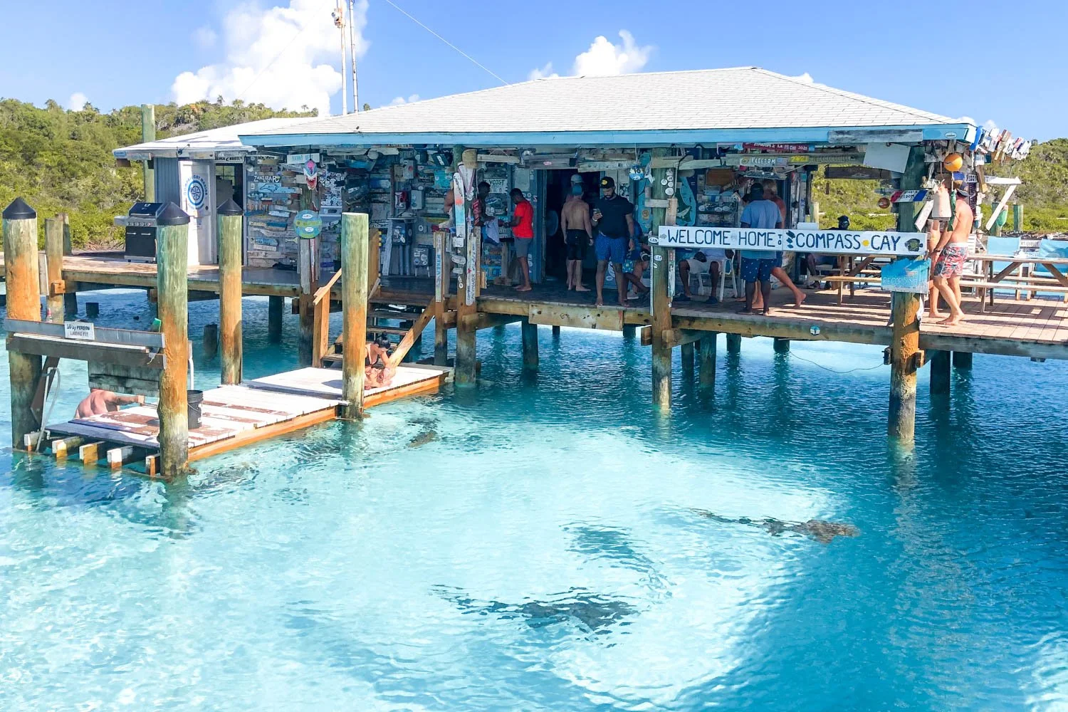 compass-cay-exuma-bahamas-swim-with-sharks.jpg