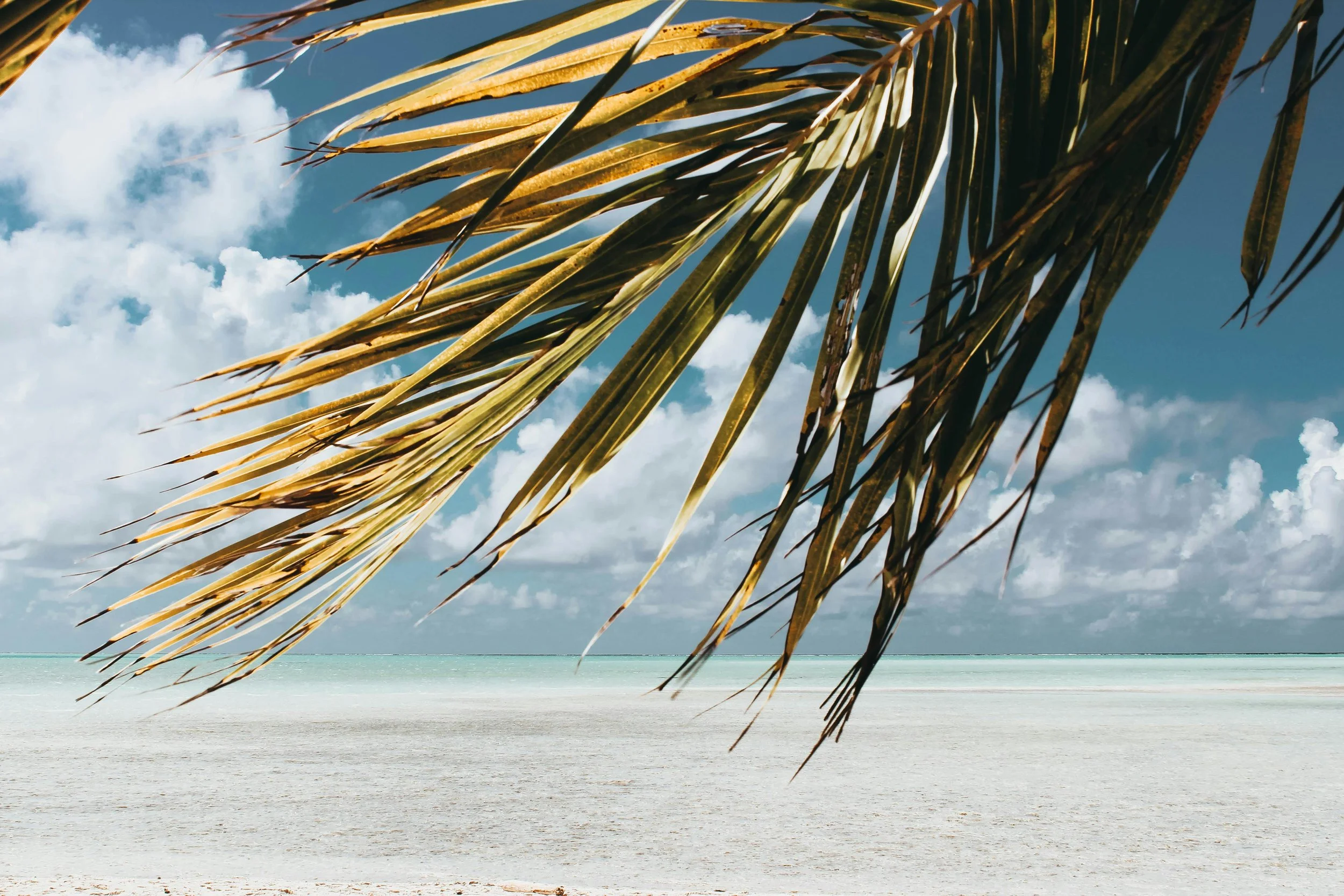 A tropical beach scene with clear ocean water, white sand, a partly cloudy sky, and a palm tree branch in the foreground.