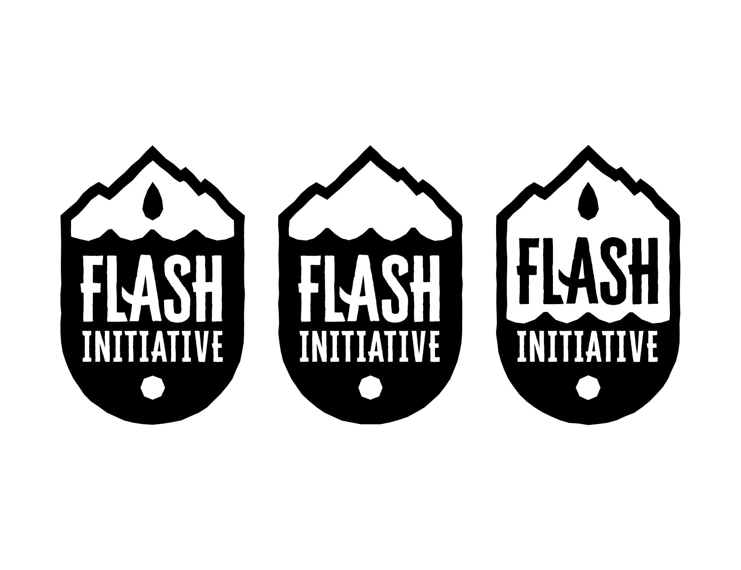 Flash Logo.png
