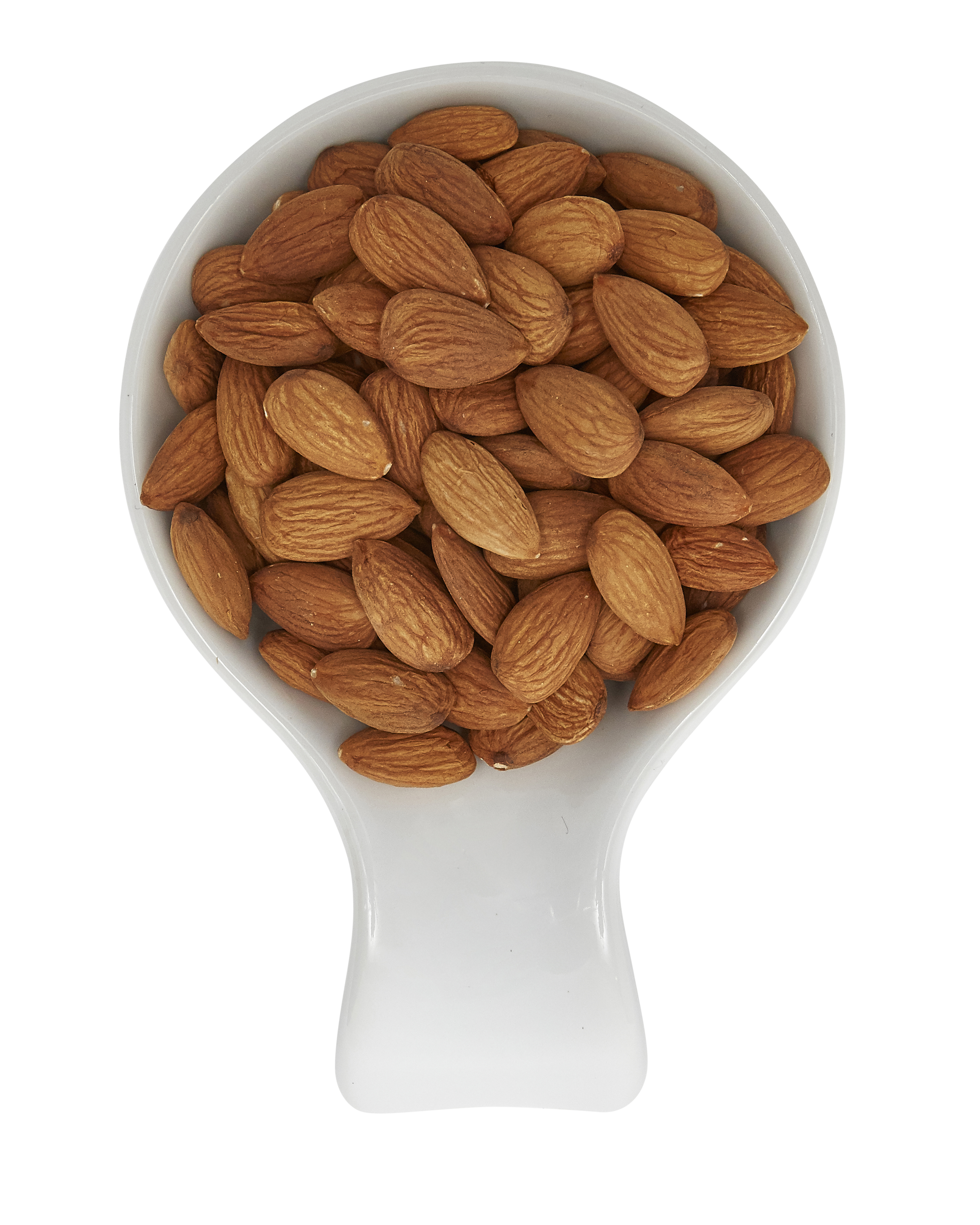 Raw almonds in a white bowl.