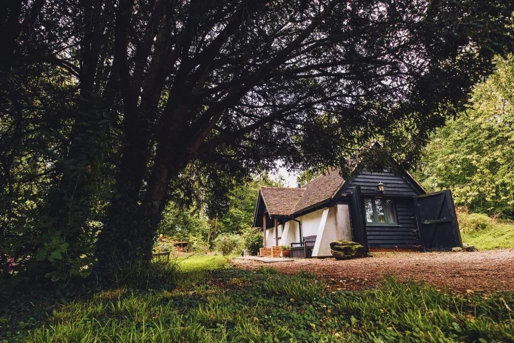 The Snuggery surrounded by woodland in the Kent countryside.