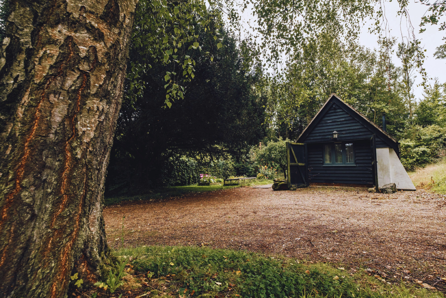 The Snuggery surrounded by woodland in the Kent countryside.