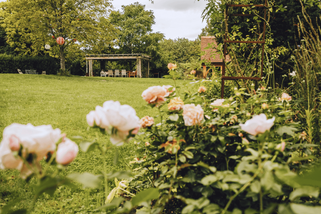 Garden and outdoor seating area at High Birch.