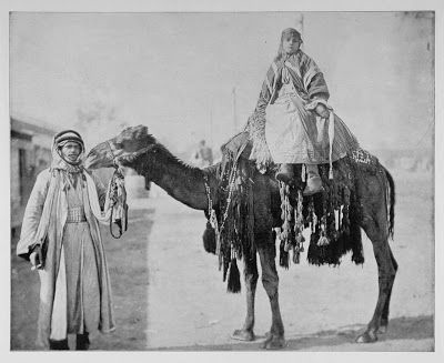 On Finding Your Camels…or Holding Readers’ Interest