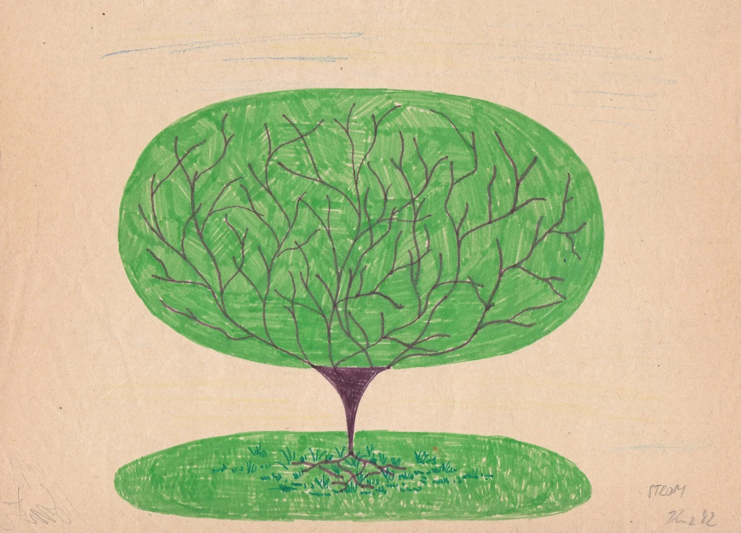 Urban Tree, 1980s, 16.5” x 12”, Pastel & pencil on paper