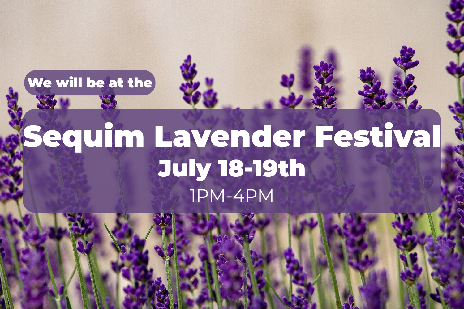Sequim Lavender Festival