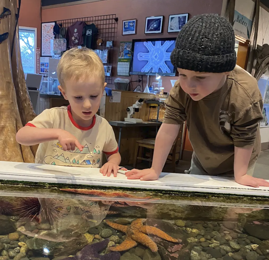 Two young boys looking at and pointing to marine life in an aquarium display at a science center or zoo.