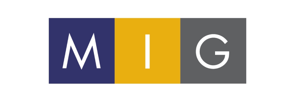 Graphic with three colored blocks containing the letters M, I, G, in white
