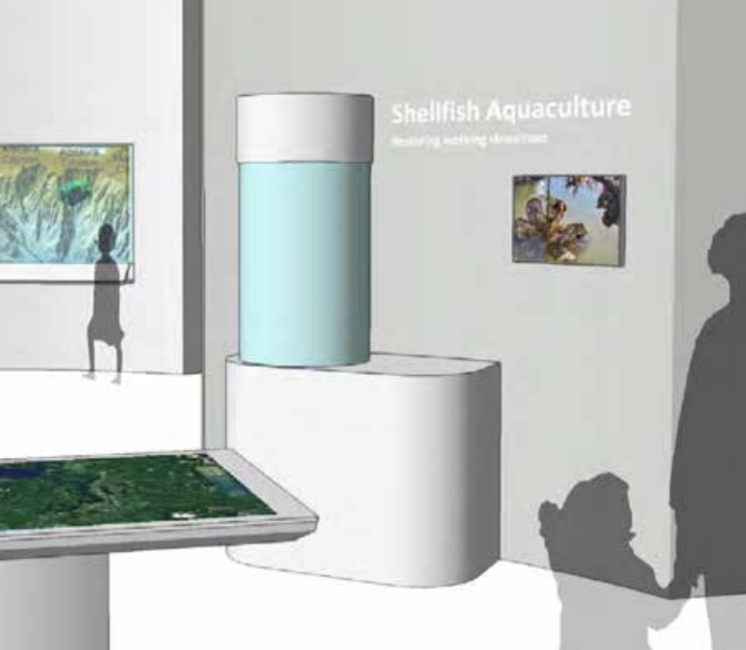 Exhibit showcasing shellfish aquaculture with a display tank, a depiction of underwater shellfish environment on the wall, and people observing the exhibit.