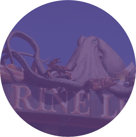 Underwater scene with a large anchovy and a rusty metal structure with the word 'RIVEL' partially visible.