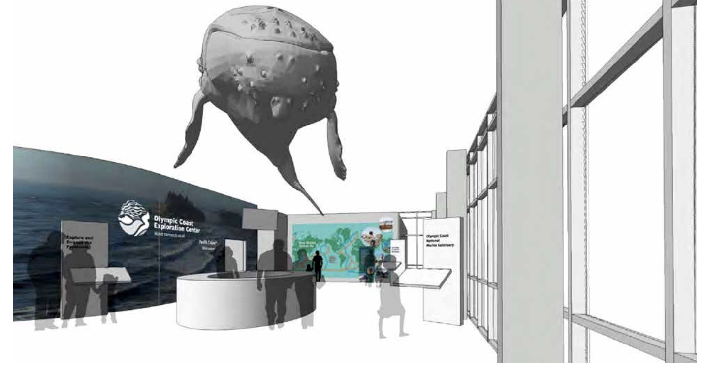 Digital rendering of an exhibit at the Olympic Coast Exploration Center featuring a suspended whale model, informational displays, and visitors.