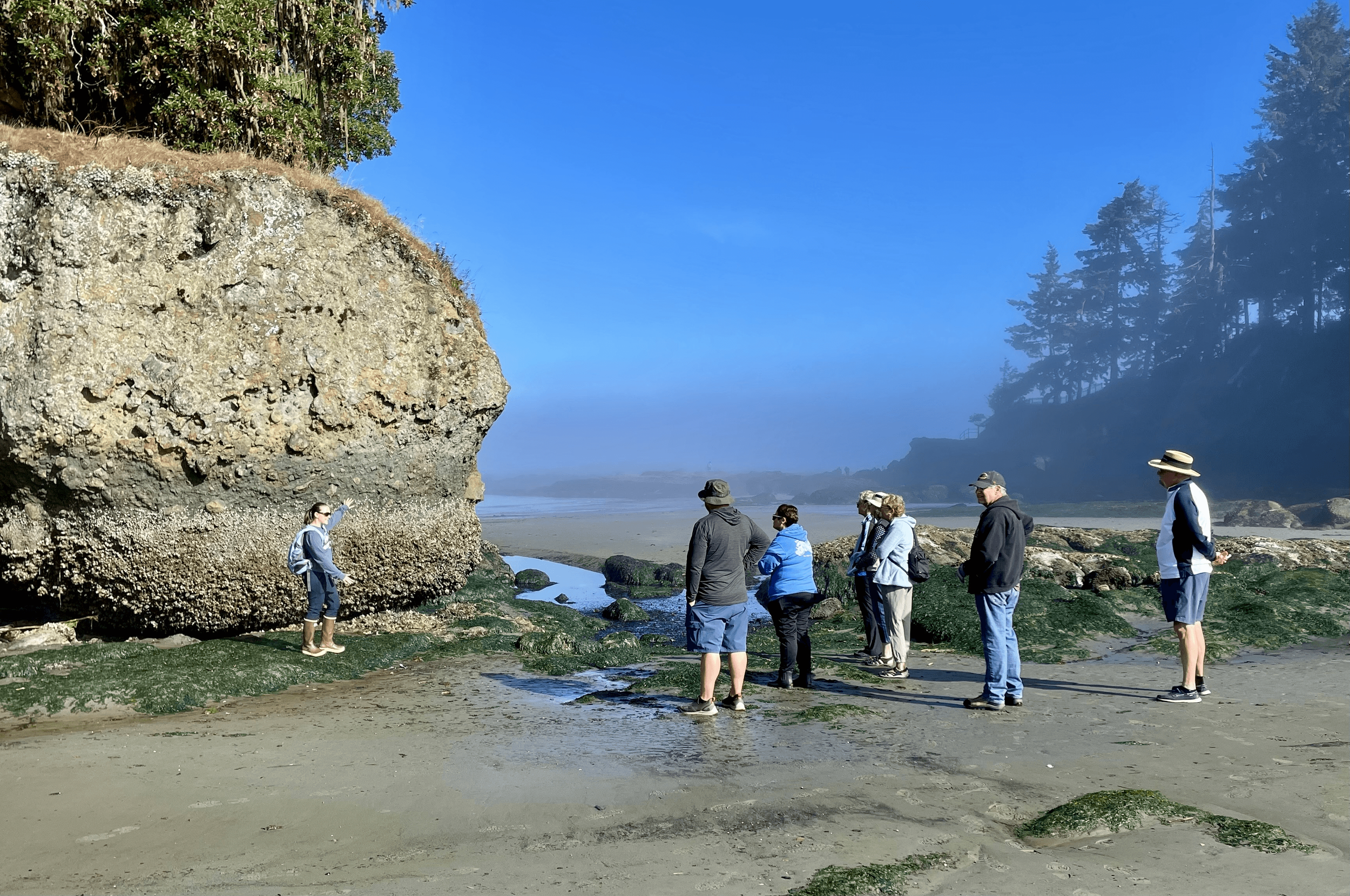 A group of people on a beach, observing a woman standing near a large rock formation and pointing at it. The scene includes sand, green moss or seaweed, and a distant shoreline with trees and fog.