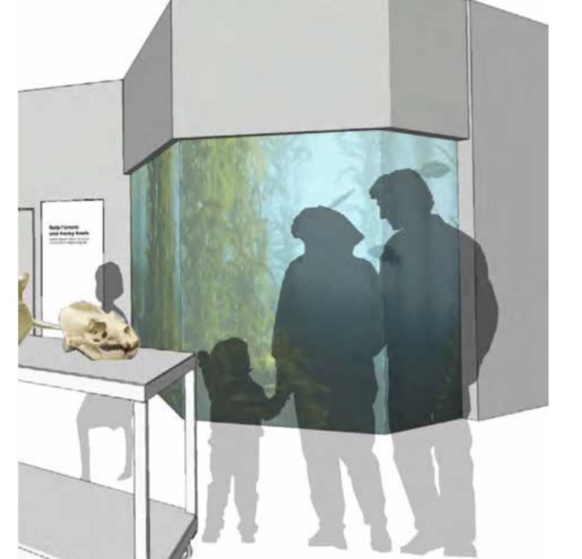 Silhouettes of three people, a child and two adults, holding hands in front of an aquatic exhibit with a colorful underwater scene, at a zoo or aquarium, with animal skulls on display nearby.