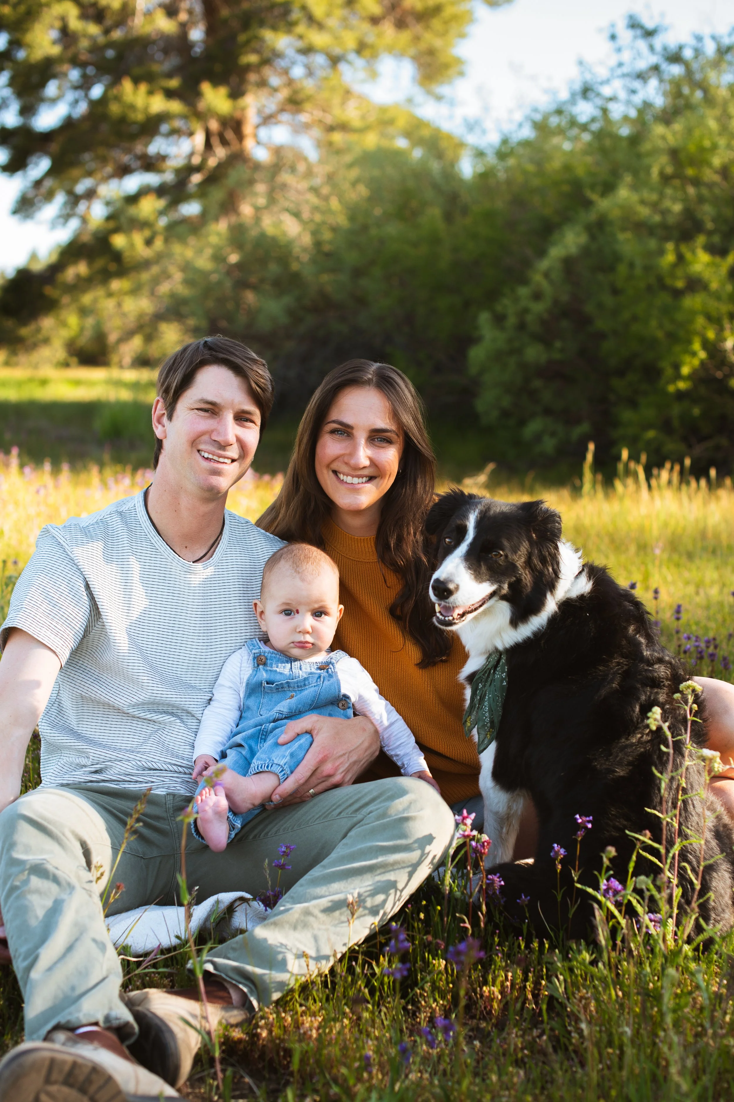 Family photo in a meadow with baby and dog