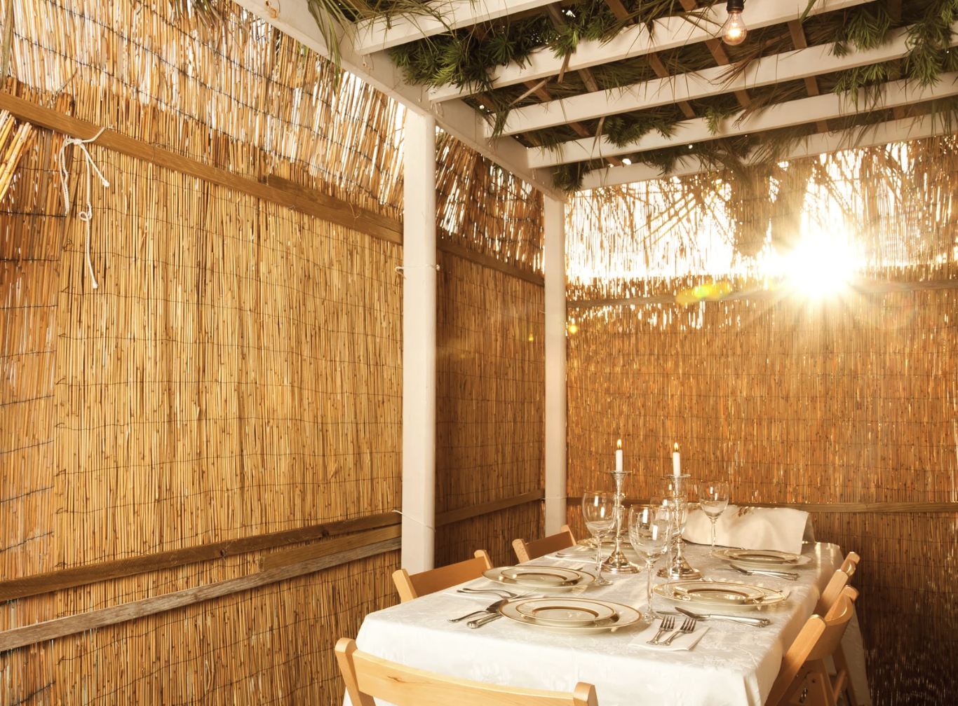 Sukkot 1.png