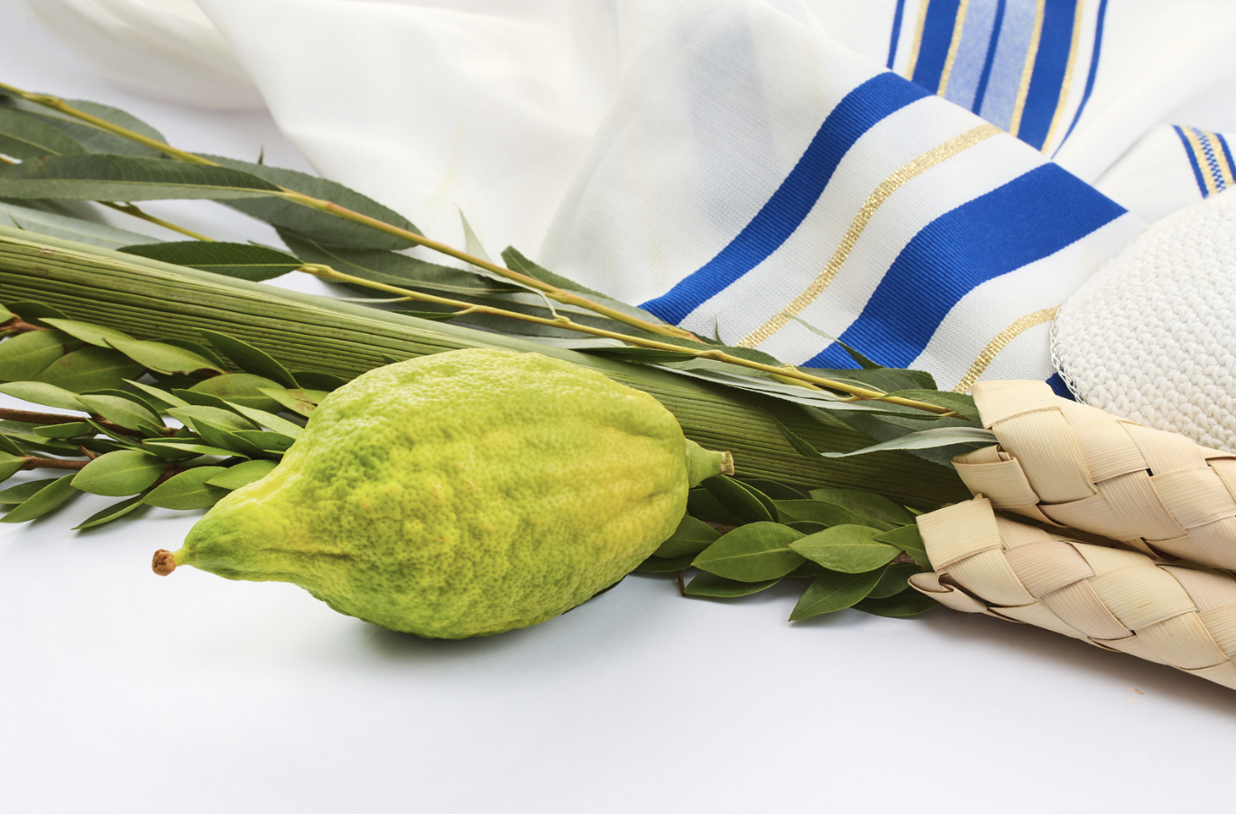 Sukkot 2.png