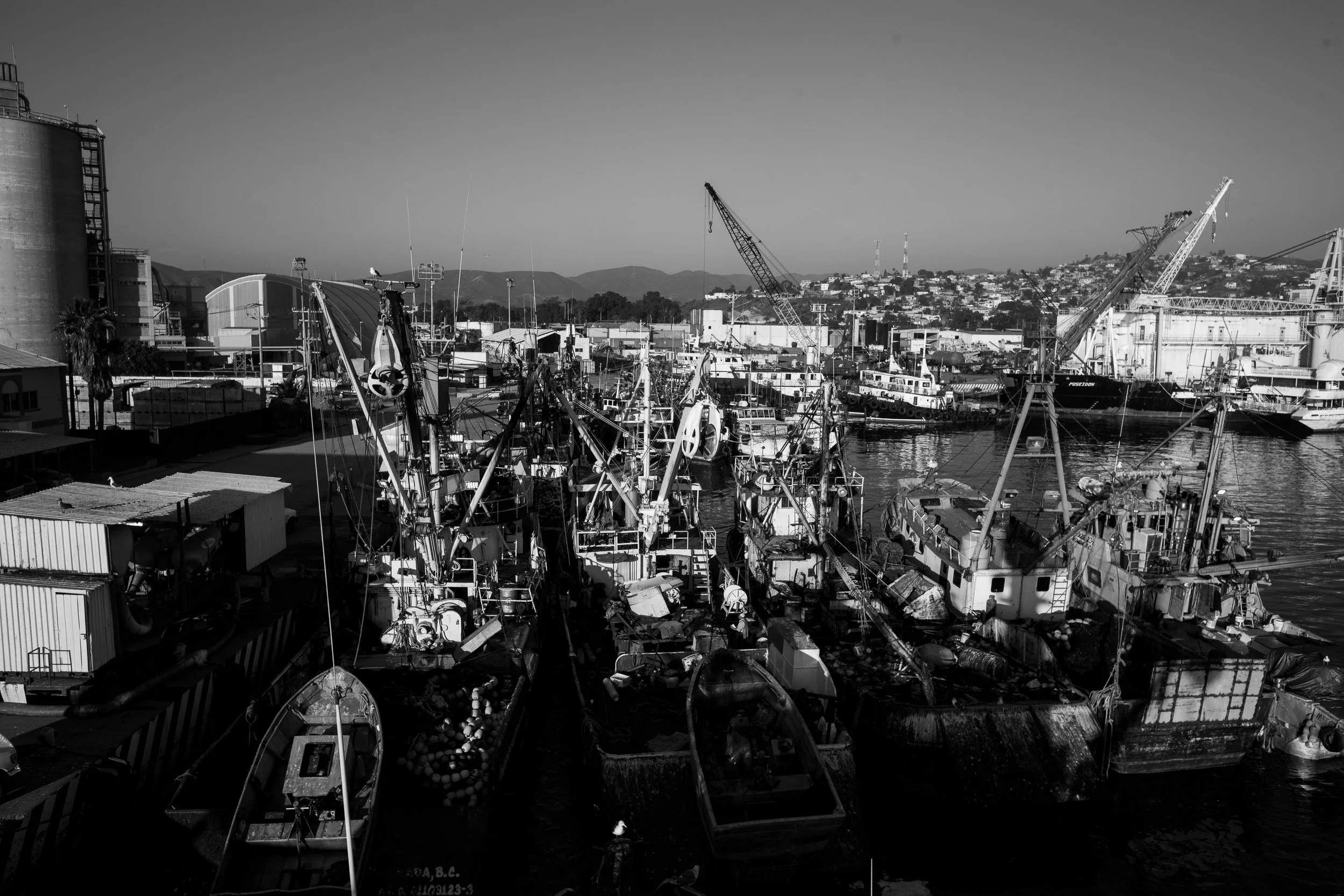 IMG_3209.jpg