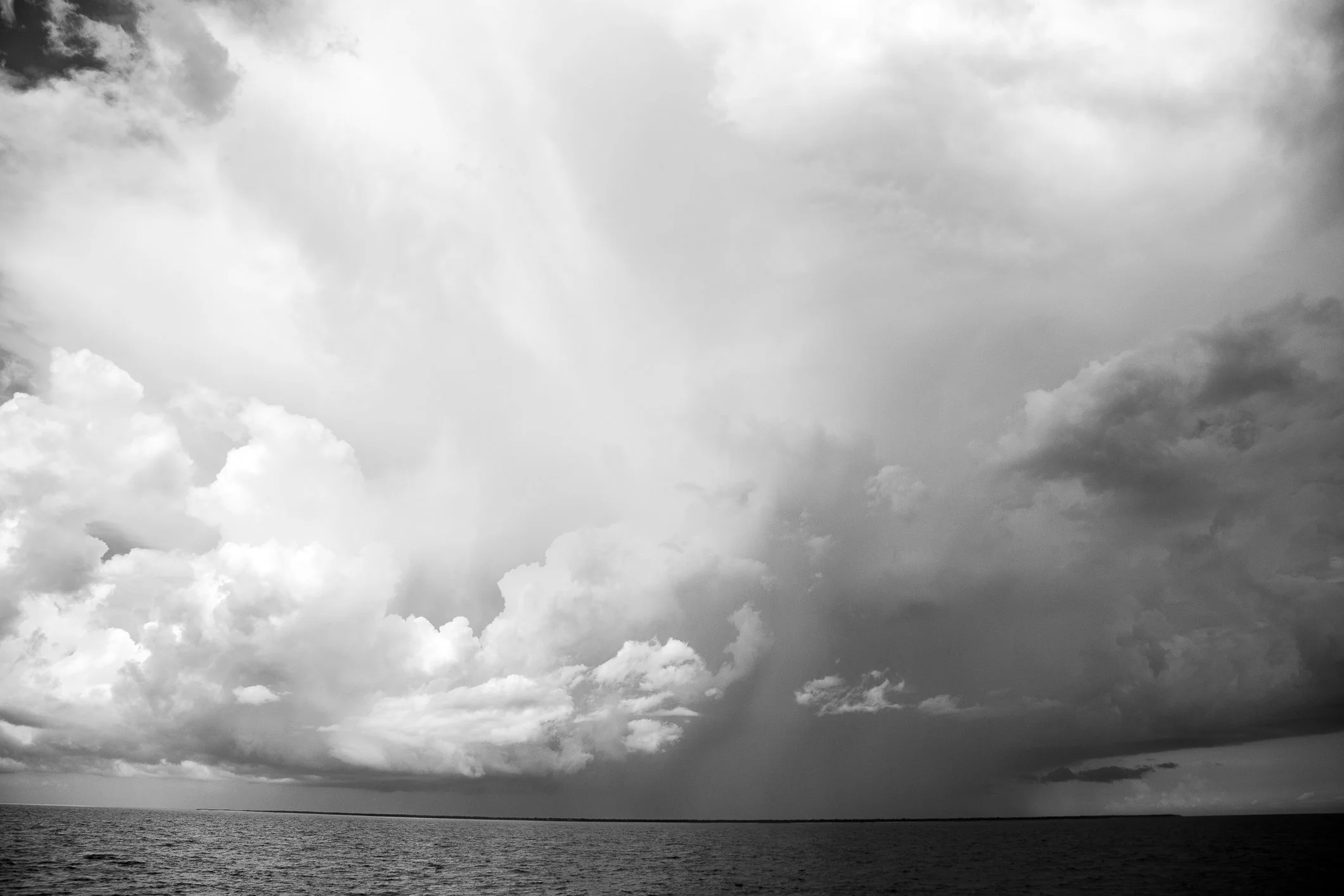 IMG_2647.jpg