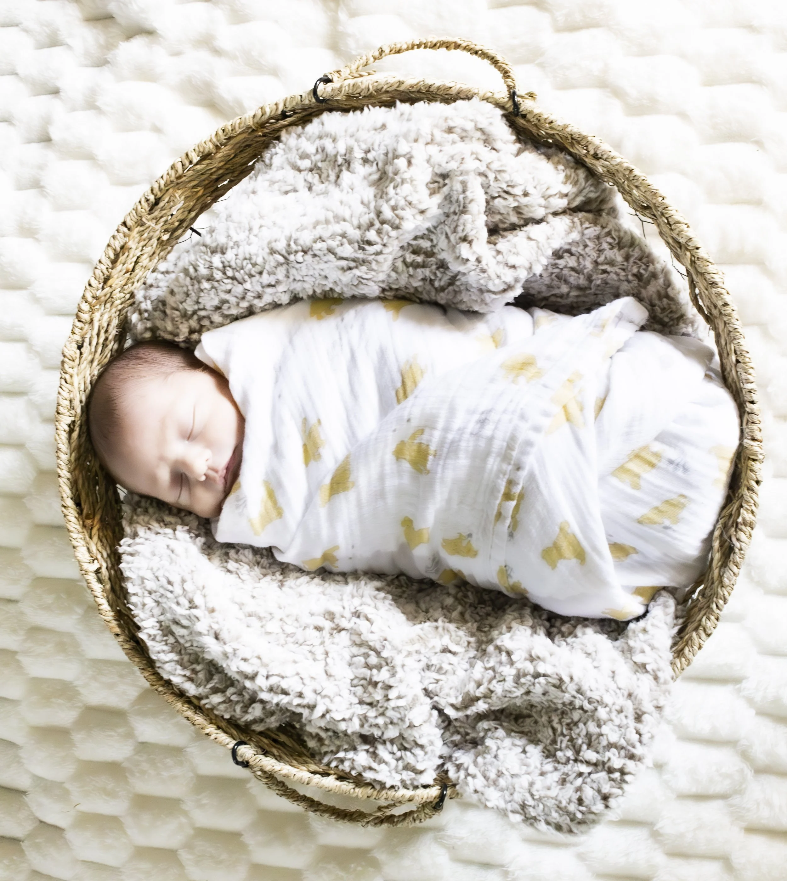 Newborn moments collection, newborn swaddled in a basket