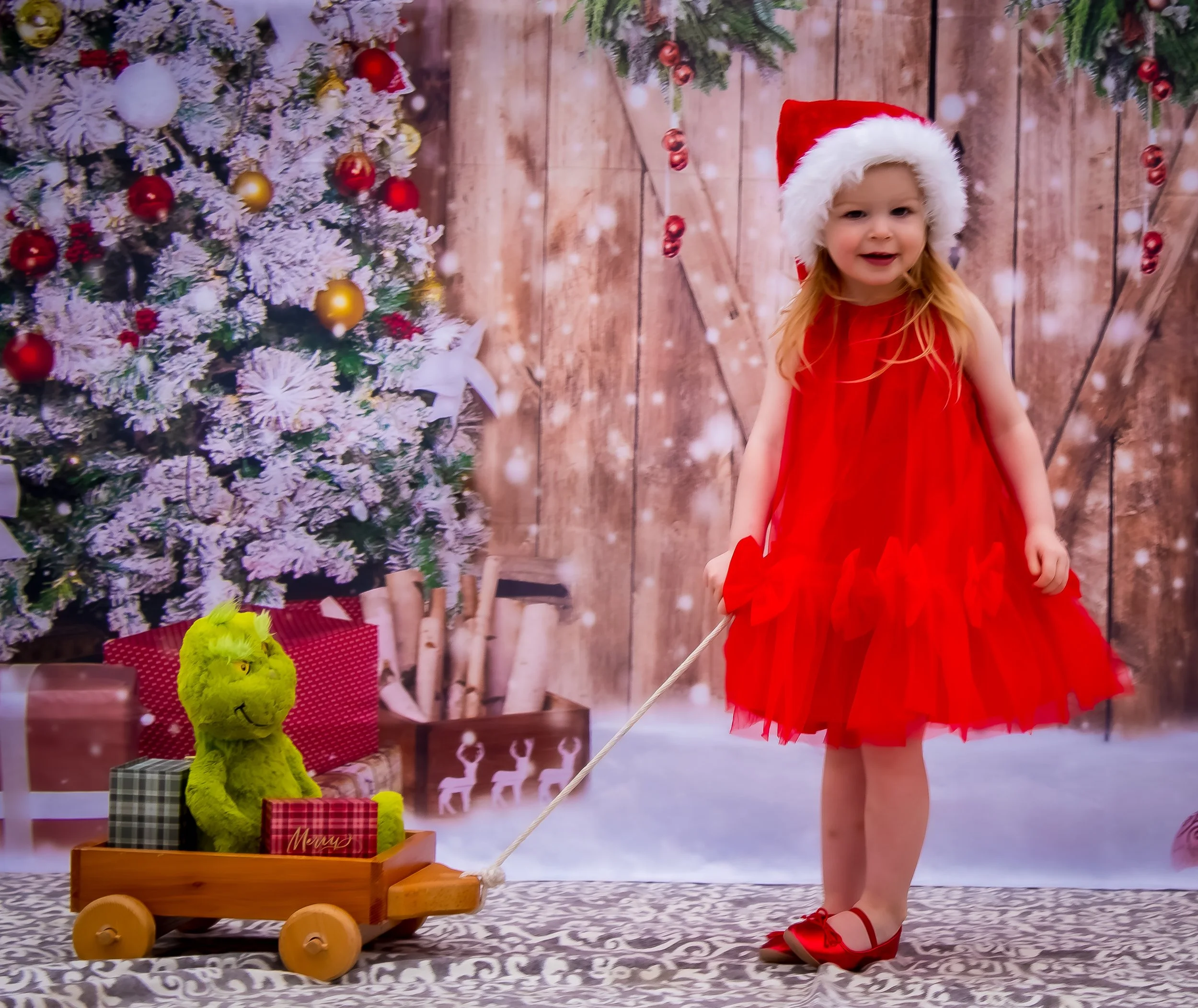 Family Christmas photos at an evergreen tree location near Sun Prairie Wisconsin.